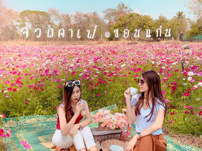 รีวิวลูกค้า